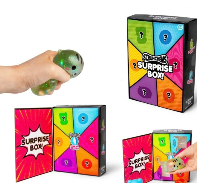 Scrunchems Surprise Box