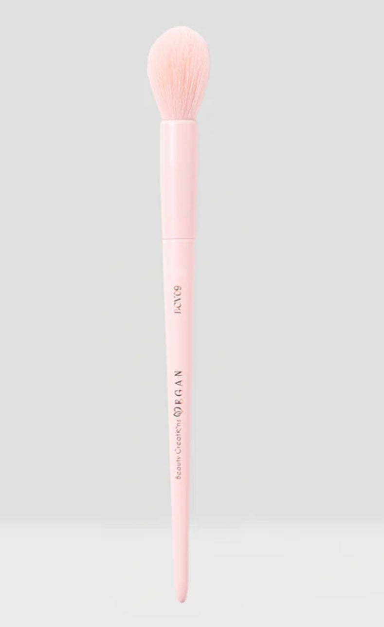 Vegan Blush Brush