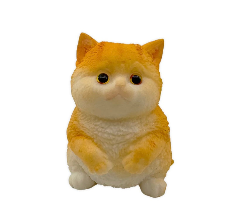 Squishy Pet Keepsake