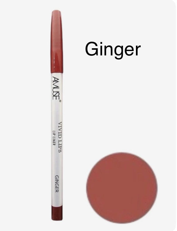 Amuse Vivid Lip Liners