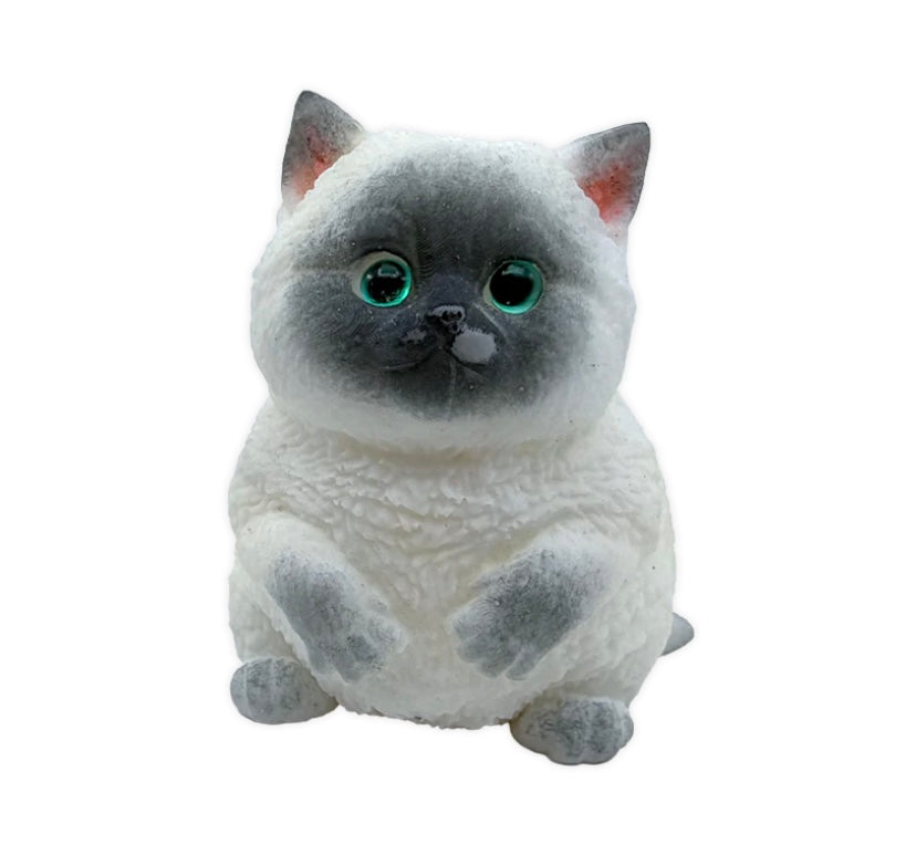 Squishy Pet Keepsake