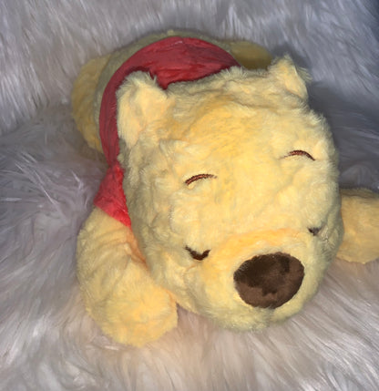 Winnie Pooh Plushie