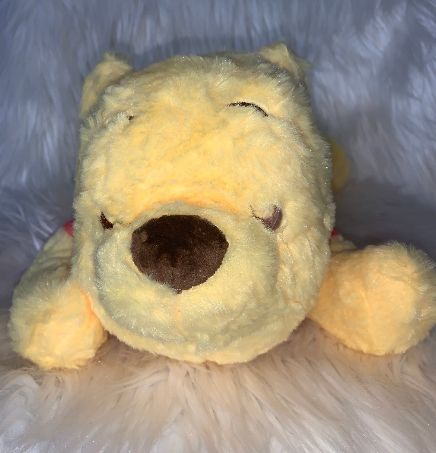 Winnie Pooh Plushie